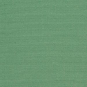 Basil_4688