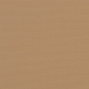 Beige_4620