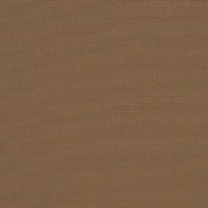 Cocoa_4676