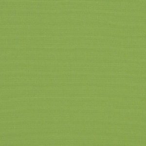 Ginkgo_4685