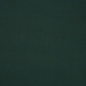 Ivy_4632