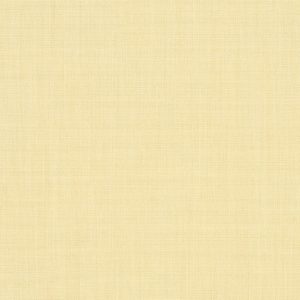 Parchment_4683