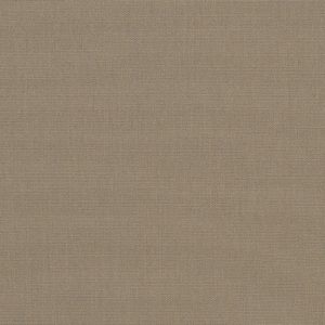 Taupe_4648