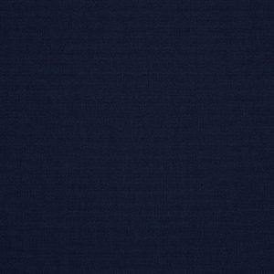 Royal-Navy 2079